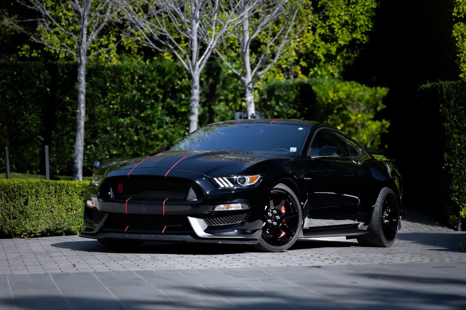 2019 Ford Mustang Shelby GT350R